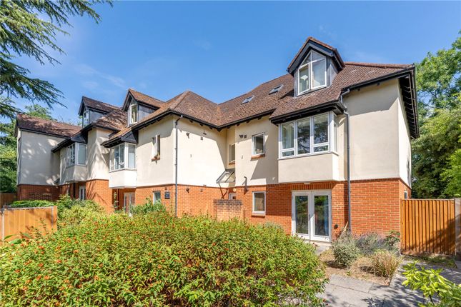 1 bed flat