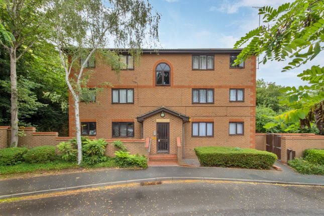 1 bed flat