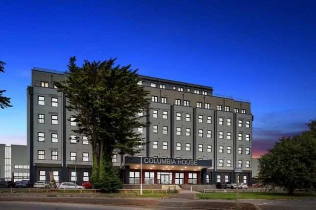 1 bed flat