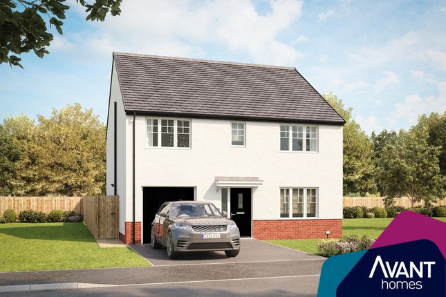 Plot 164 at Carnethy Heights Sycamore... 5 bed detached house for sale