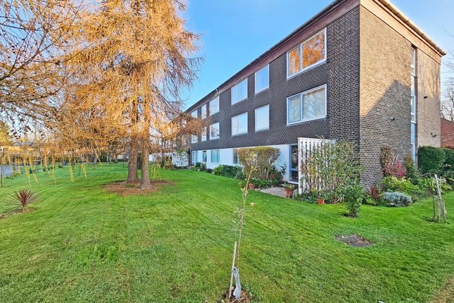 3 bed flat