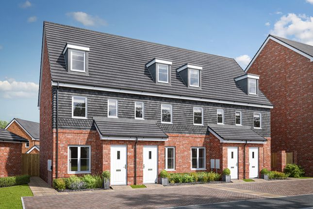 3 bed terraced house