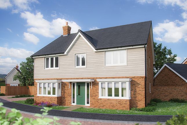 Plot 230, The Lime at Albany Park... 5 bed detached house for sale