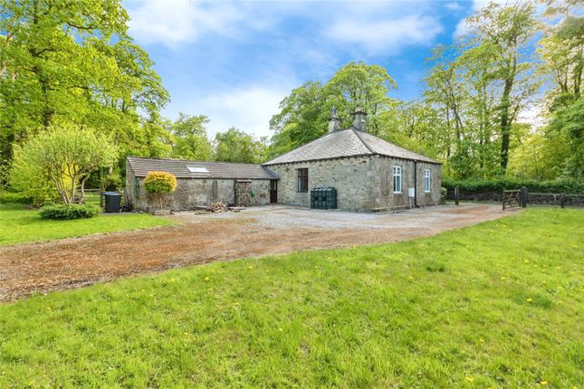 3 bed detached house