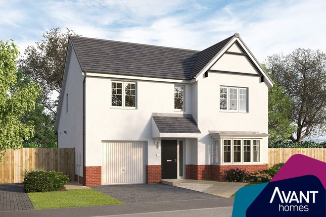 Plot 237 at Jackton Green Jackton... 4 bed detached house for sale