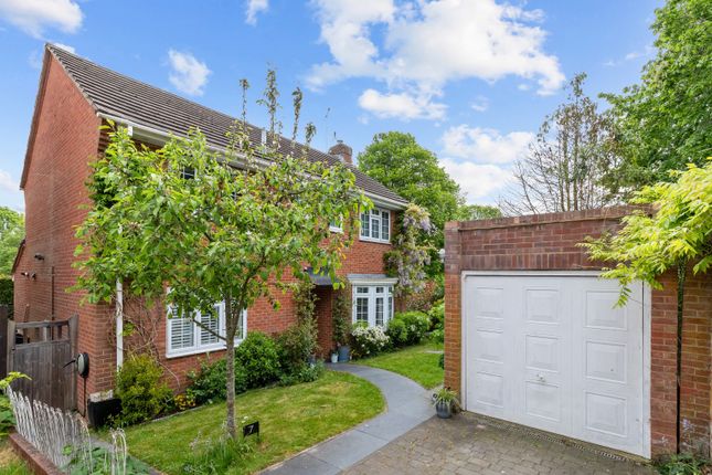 Queen Annes Close, Lewes, East... 4 bed detached house for sale