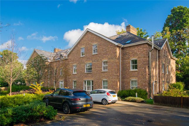 1 bed flat