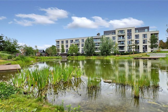 2 bed flat