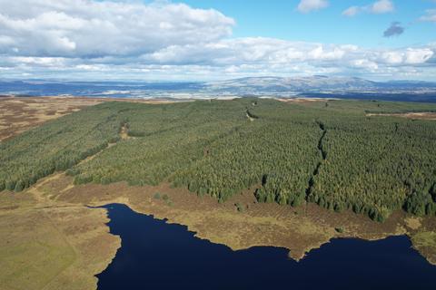 Earlsburn Forest, Near Stirling... Woodland for sale