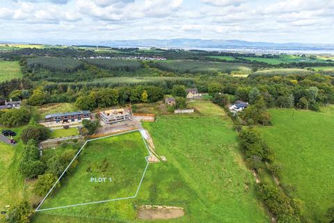Candiehead, Candie Land for sale