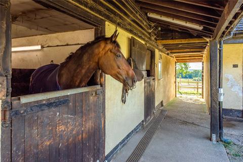 5 bedroom equestrian property for sale