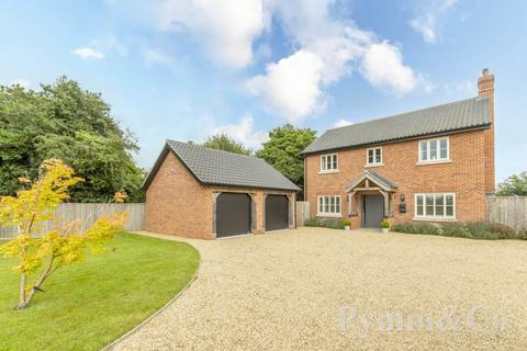 Seething Street, Norwich NR15 4 bed detached house for sale