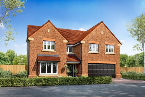Plot 31