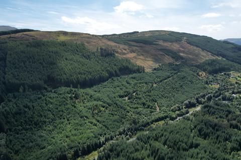 Leitters Forest, Near Balquhidder... Woodland for sale