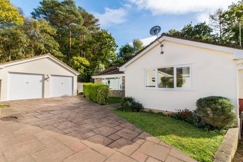 Blackbird Way, Christchurch BH23 3 bed detached bungalow for sale