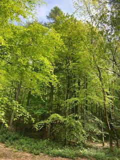 Maeshafn, Denbighshire, Wales Land for sale