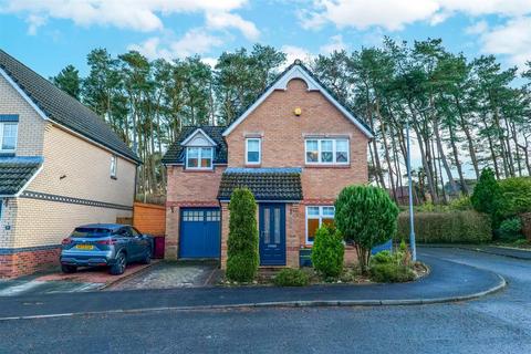Hayward Avenue, Carluke 3 bed detached house for sale
