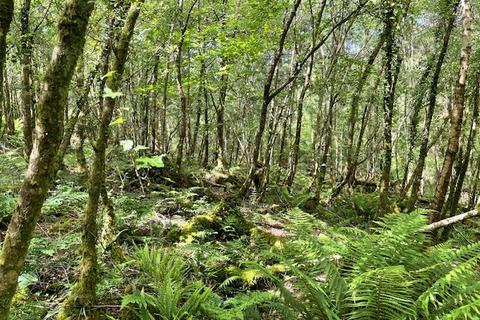 Cheriton Bishop, Devon Land for sale