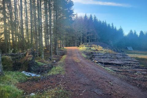 Rutting Season 5, Spean Bridge, Fort... Land for sale