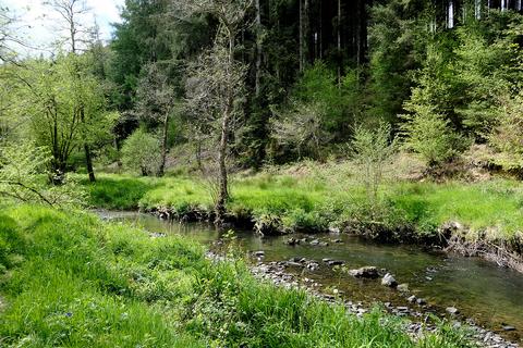 Hangman's Hill, Tiverton EX16 Woodland for sale