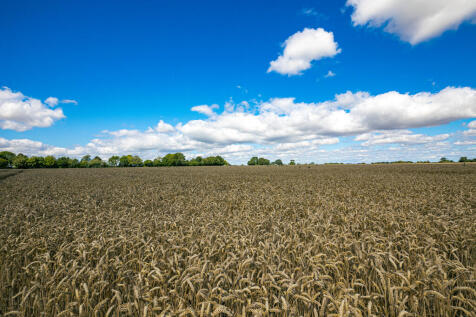 Farm land for sale