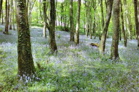 Duloe, Cornwall PL14 Land for sale