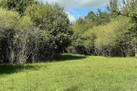 Farm land for sale
