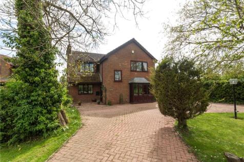 Hill View, Cornborough Road, Sheriff... 4 bed detached house for sale