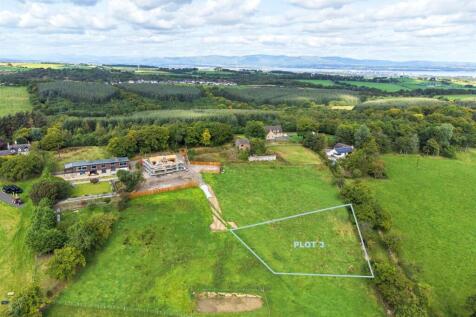 Candiehead, Candie Land for sale