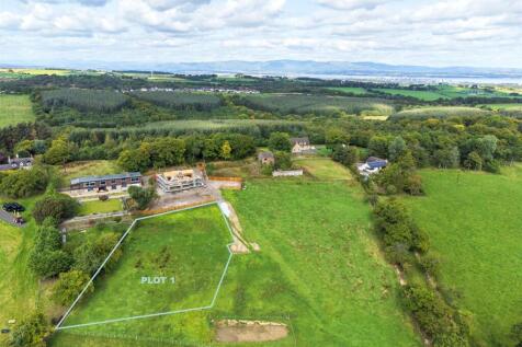 Candiehead, Candie Land for sale