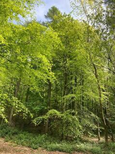 Maeshafn, Denbighshire, Wales Land for sale