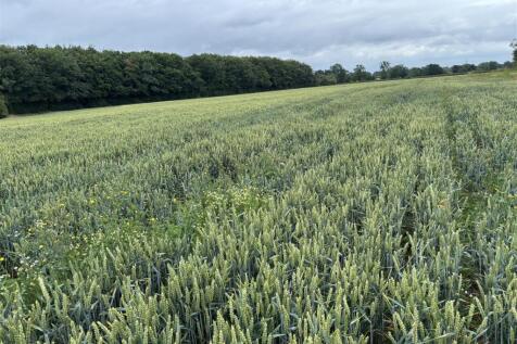 Land for sale