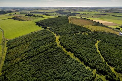Lawel Hill Wood, Inverurie... Land for sale
