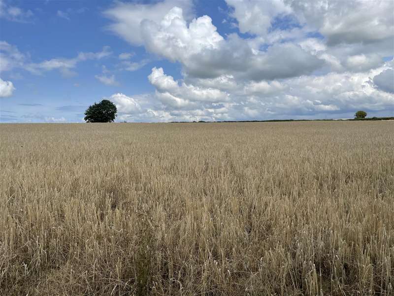 Land Commercial